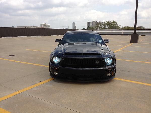 What did you do with your Mustang today?*-image-1969696980.jpg