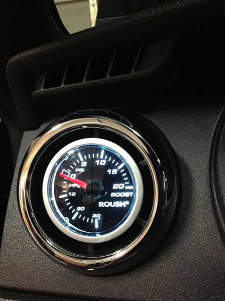 What did you do with your Mustang today?*-image-1409908076.jpg