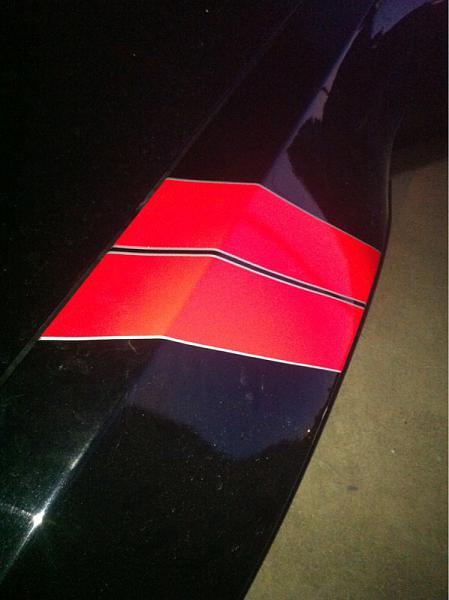 What did you do with your Mustang today?*-image-2321888570.jpg