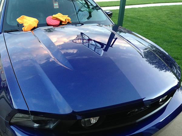 What did you do with your Mustang today?*-image-3587043634.jpg