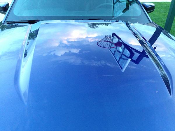 What did you do with your Mustang today?*-image-2535697357.jpg