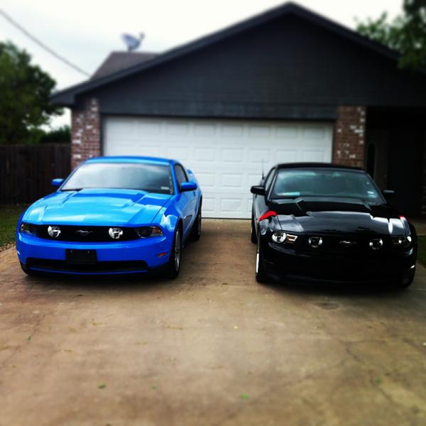 What did you do with your Mustang today?*-image-3604474205.jpg