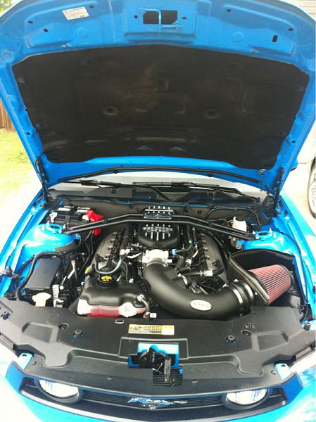 What did you do with your Mustang today?*-image-22091278.jpg