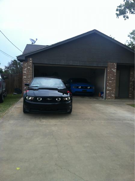 What did you do with your Mustang today?*-image-946306772.jpg