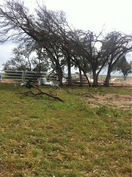 What did you do with your Mustang today?*-image-2740131932.jpg