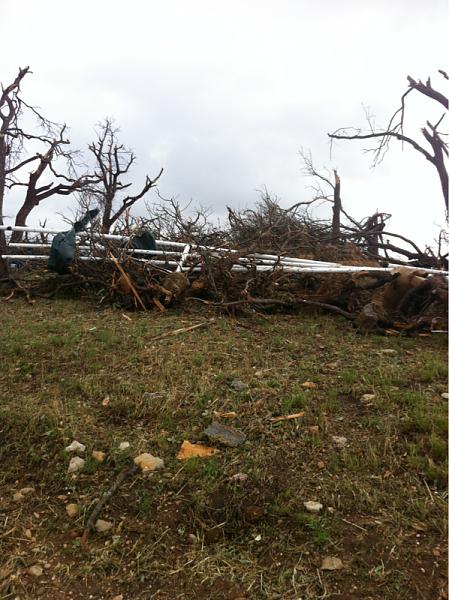 What did you do with your Mustang today?*-image-2799467440.jpg