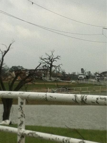 What did you do with your Mustang today?*-image-3368229343.jpg