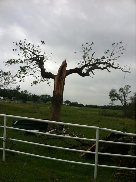 What did you do with your Mustang today?*-image-3391193901.jpg