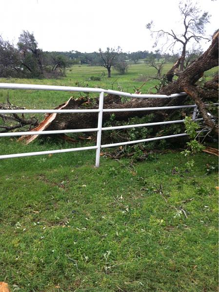 What did you do with your Mustang today?*-image-2169063652.jpg