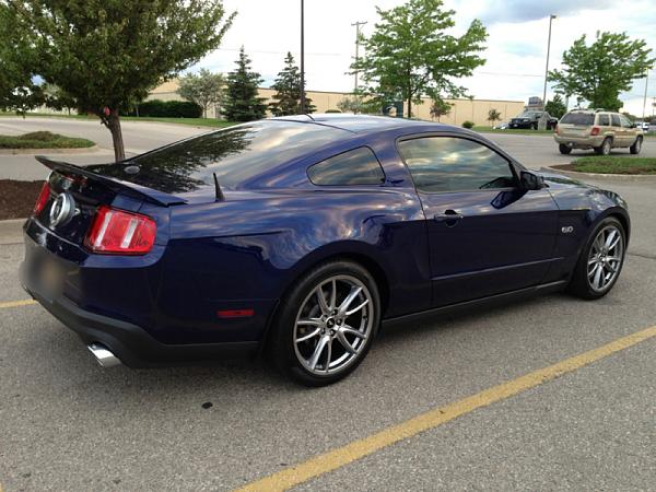 What did you do with your Mustang today?*-image-480147868.jpg