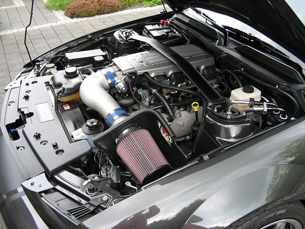 What did you do with your Mustang today?*-img_0007.jpg