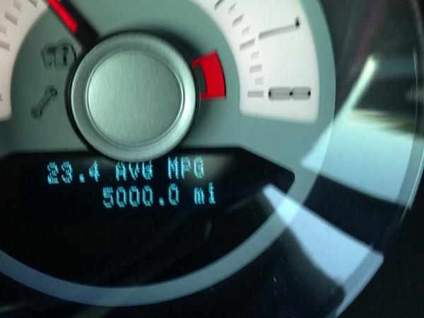 What did you do with your Mustang today?*-image-2214300642.jpg