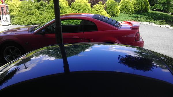 What did you do with your Mustang today?*-imag1387.jpg