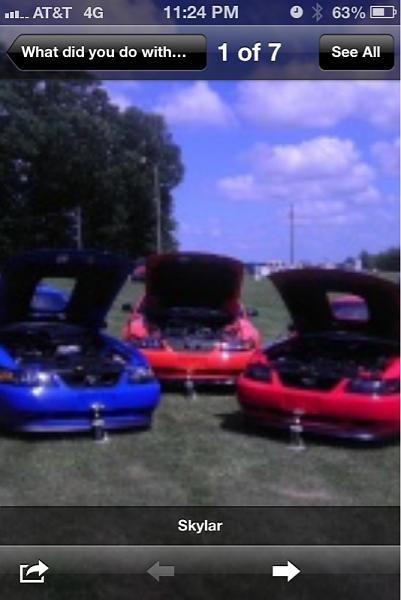 What did you do with your Mustang today?*-image-332486438.jpg
