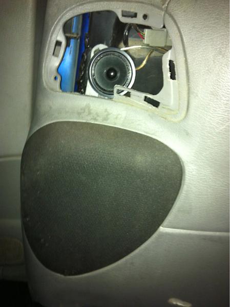 What did you do with your Mustang today?*-image-3528831238.jpg