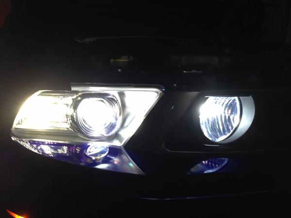 What did you do with your Mustang today?*-image-230142516.jpg