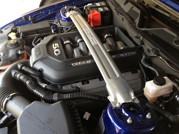What did you do with your Mustang today?*-image-1543098830.jpg