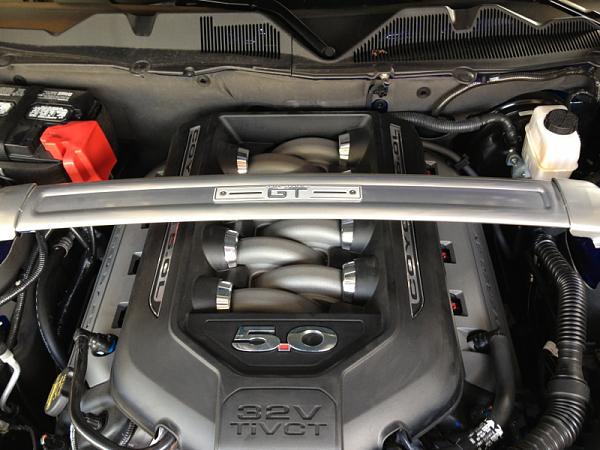 What did you do with your Mustang today?*-image-2729571249.jpg