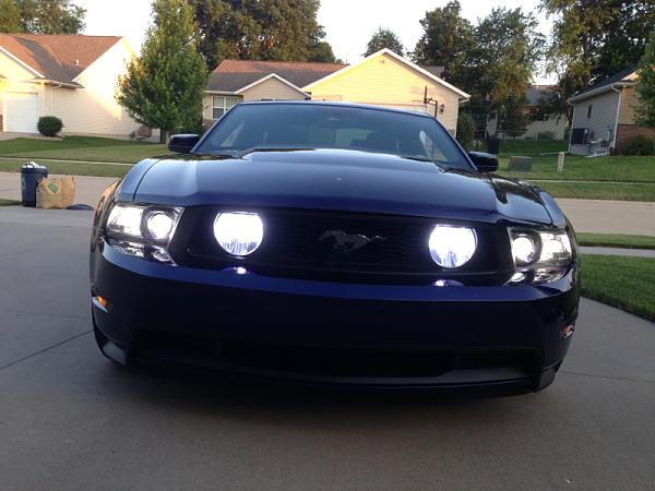 What did you do with your Mustang today?*-image-1173393047.jpg