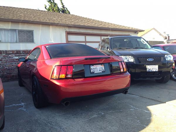 What did you do with your Mustang today?*-image-340812567.jpg