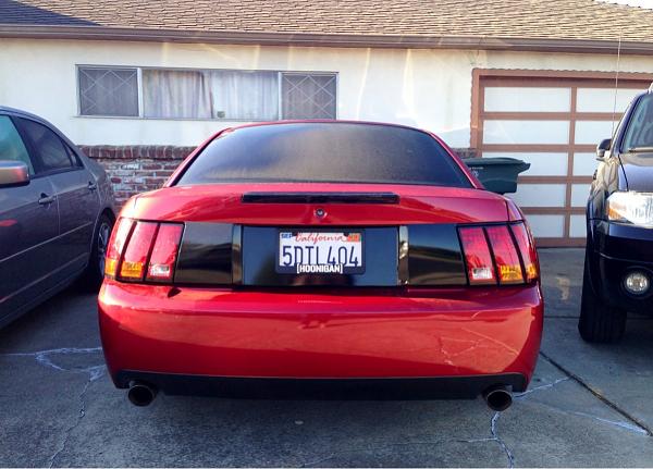What did you do with your Mustang today?*-image-1845999971.jpg