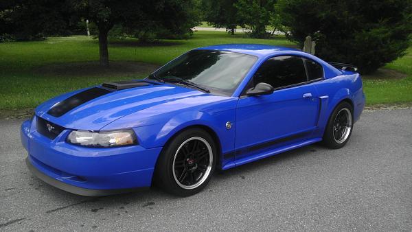 What did you do with your Mustang today?*-imag1551.jpg