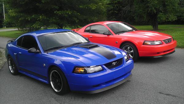 What did you do with your Mustang today?*-imag1556.jpg