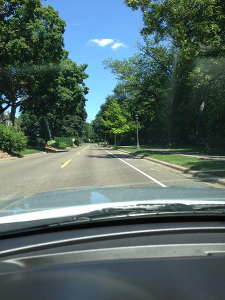What did you do with your Mustang today?*-image-1318612799.jpg
