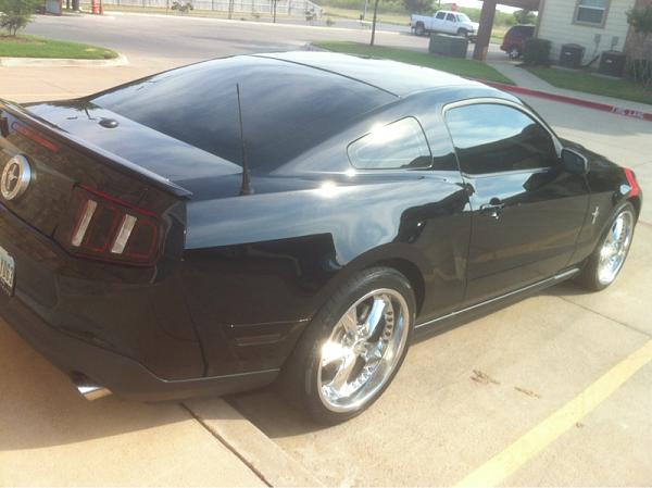 What did you do with your Mustang today?*-image-1416256818.jpg