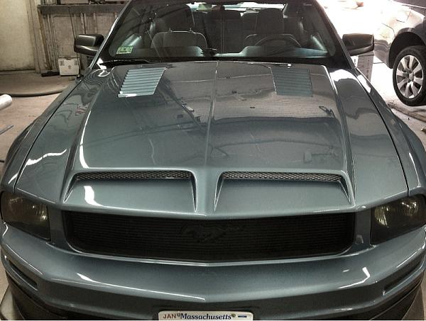 What did you do with your Mustang today?*-image-1618508944.jpg