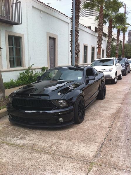 What did you do with your Mustang today?*-image-1289420649.jpg