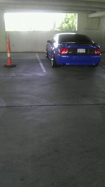 What did you do with your Mustang today?*-snapchat-8639.jpg