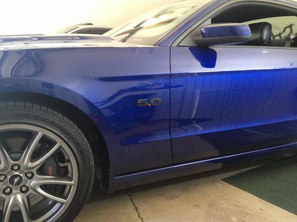 What did you do with your Mustang today?*-image-187828568.jpg