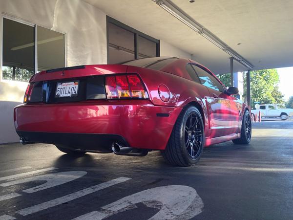 What did you do with your Mustang today?*-image-560062289.jpg