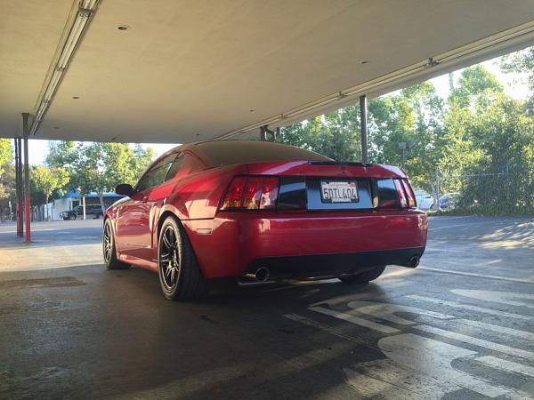 What did you do with your Mustang today?*-image-561471395.jpg