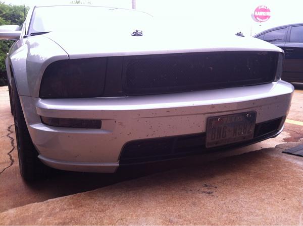 What did you do with your Mustang today?*-image-2354570263.jpg