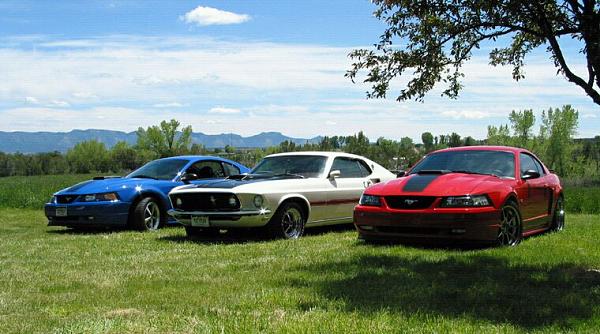 Red, White &amp; Blue Mustang collection??-53257_1411017009617_4043166_o.jpg