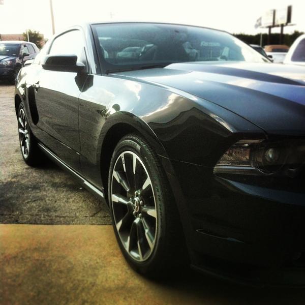 What did you do with your Mustang today?*-image-4292765804.jpg