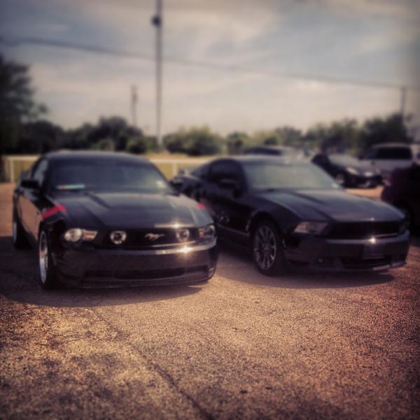 What did you do with your Mustang today?*-image-3459070838.jpg