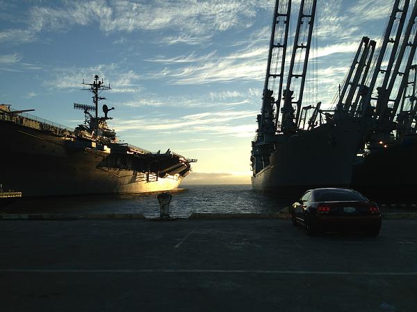 What did you do with your Mustang today?*-image-888066390.jpg