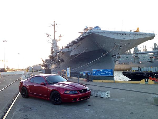 What did you do with your Mustang today?*-image-1908142612.jpg