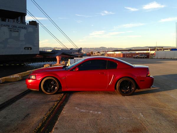 What did you do with your Mustang today?*-image-1598397647.jpg