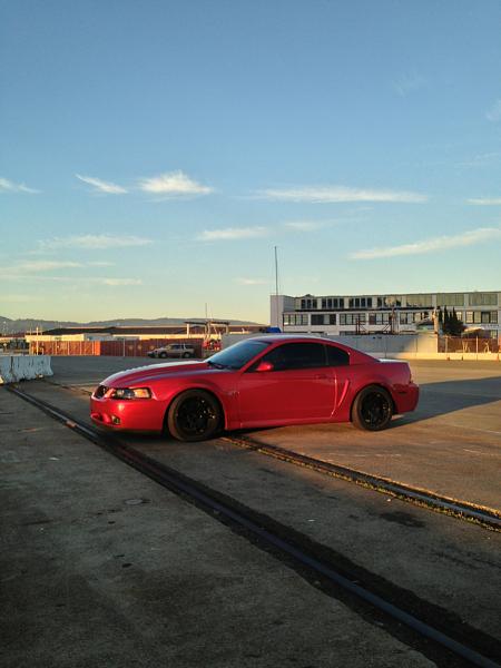 What did you do with your Mustang today?*-image-1561040013.jpg