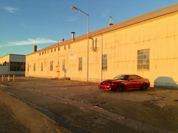 What did you do with your Mustang today?*-image-262292005.jpg