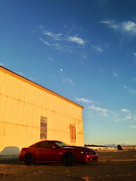 What did you do with your Mustang today?*-image-771467962.jpg