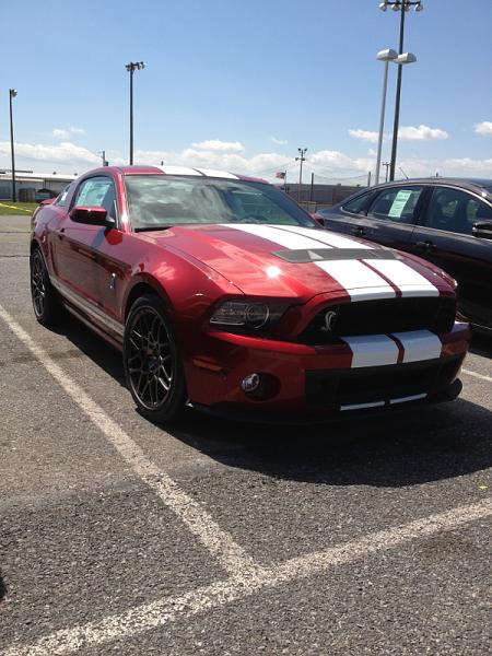 What did you do with your Mustang today?*-image-782255717.jpg