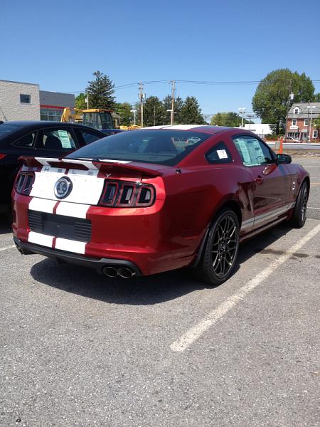 What did you do with your Mustang today?*-image-156671176.jpg