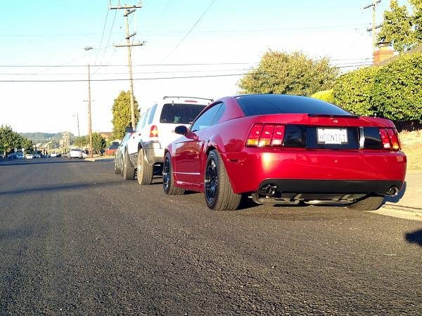 What did you do with your Mustang today?*-image-600266315.jpg