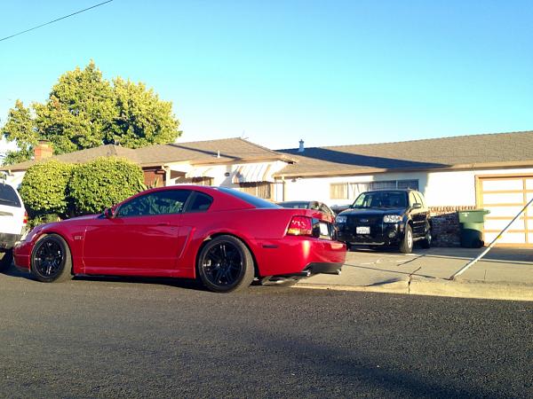 What did you do with your Mustang today?*-image-3135303032.jpg