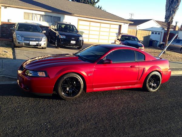 What did you do with your Mustang today?*-image-3711736605.jpg